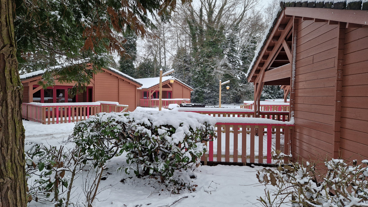 Bungalows in park B in de sneeuw