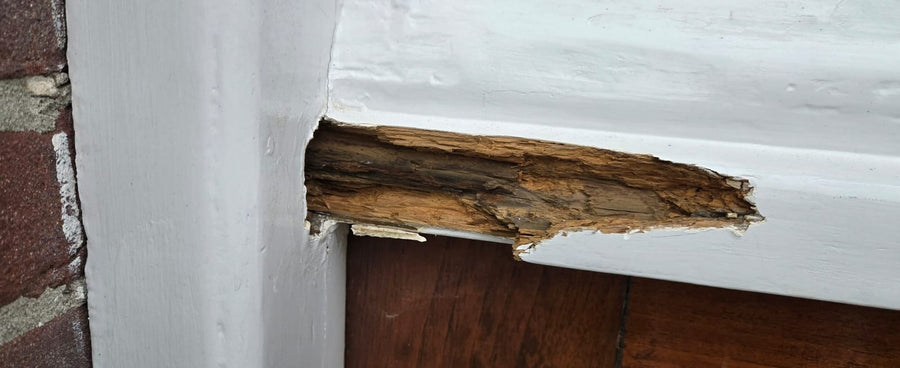 Woning met houtrotherstel – Alphen a/d Rijn