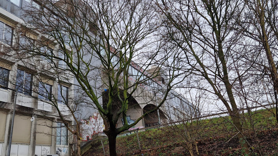 Kantoor- en winkelcomplex Reigersbos – Amsterdam